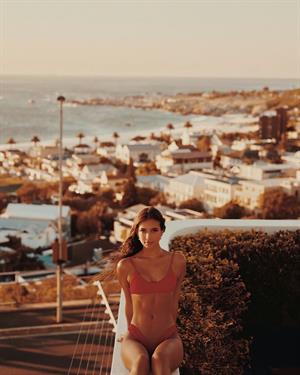 Sunbathing In The Desert