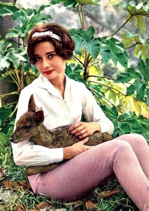 Audrey Hepburn