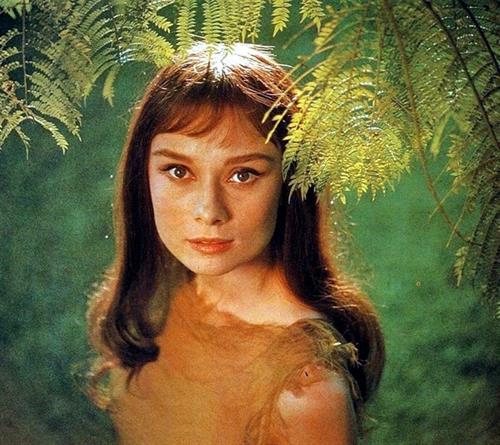 Audrey Hepburn