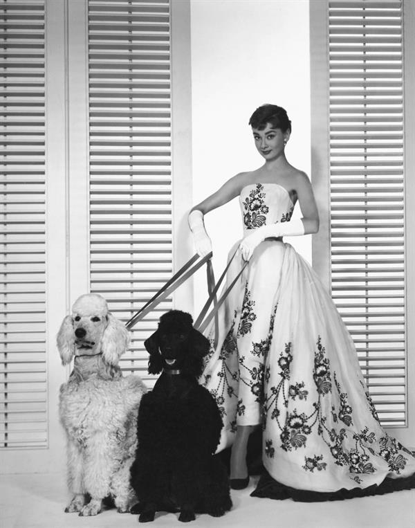 Audrey Hepburn