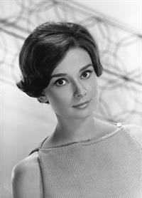 Audrey Hepburn