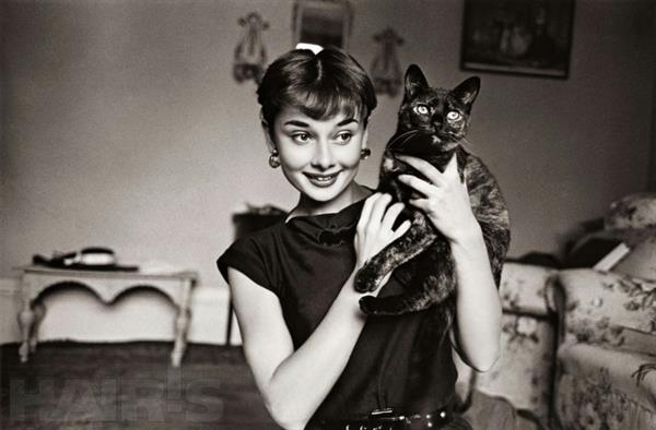 Audrey Hepburn