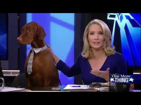 Dana Perino