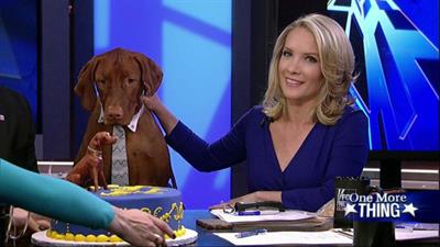 Dana Perino