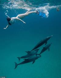 Miranda Cosgrove in a bikini