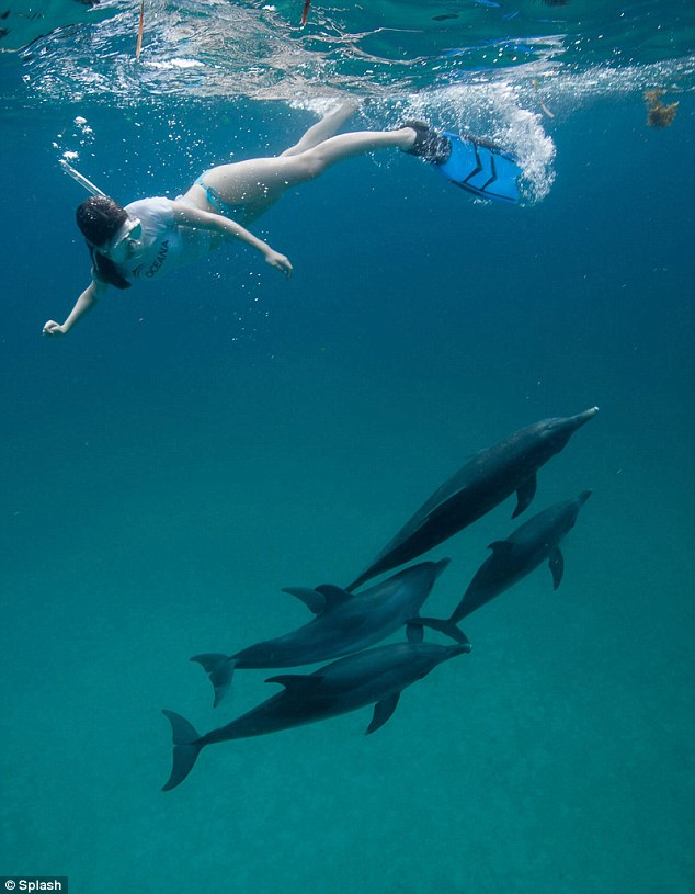 Miranda Cosgrove in a bikini