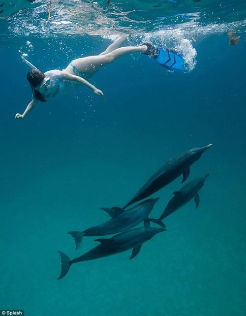 Miranda Cosgrove in a bikini