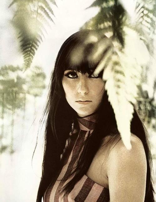 Cher