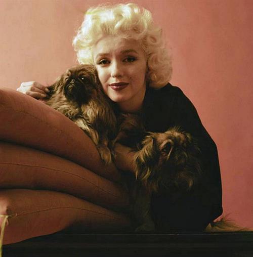 Marilyn Monroe