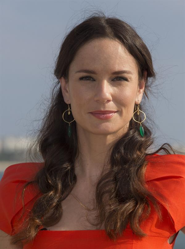 Sarah Wayne Callies