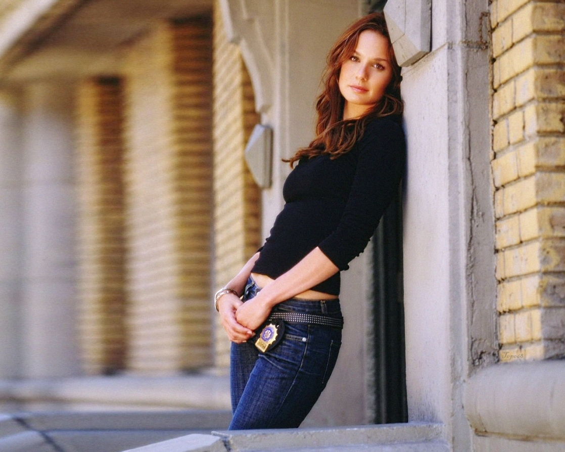 Sarah Wayne Callies