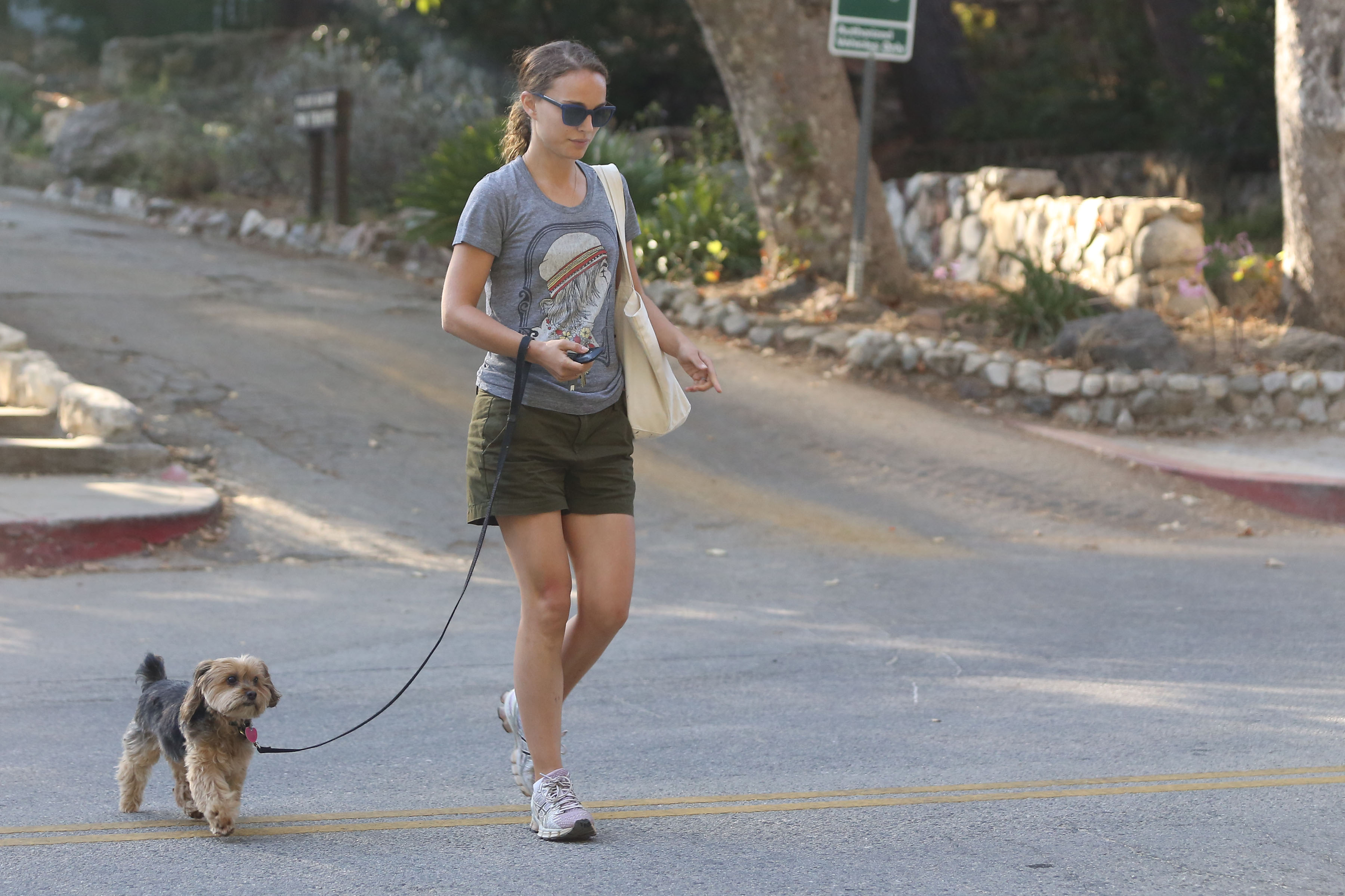 Natalie Portman Pictures Natalie Portman – walking her dog in LA 8/16/13